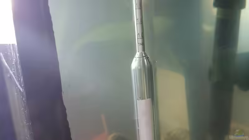 14.12.2018 mit ??rometer von Kevin Engelsberger (12)