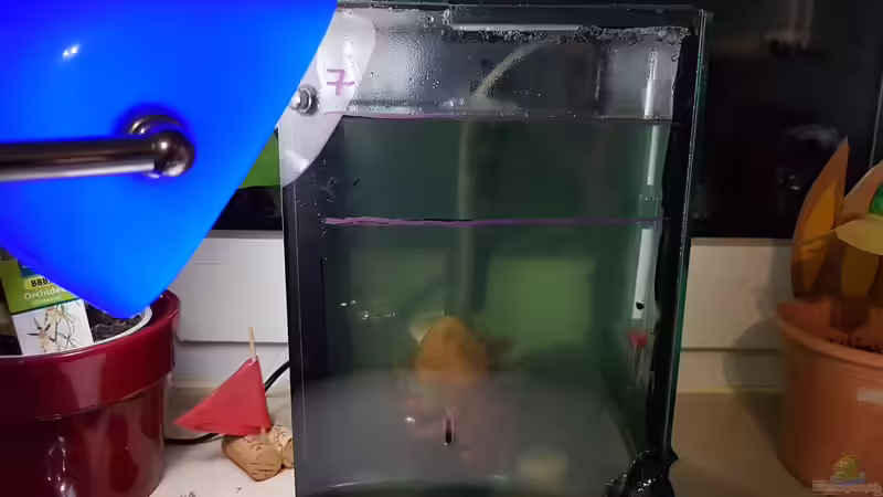 14.12.2018 mit ??rometer von Kevin Engelsberger (32)