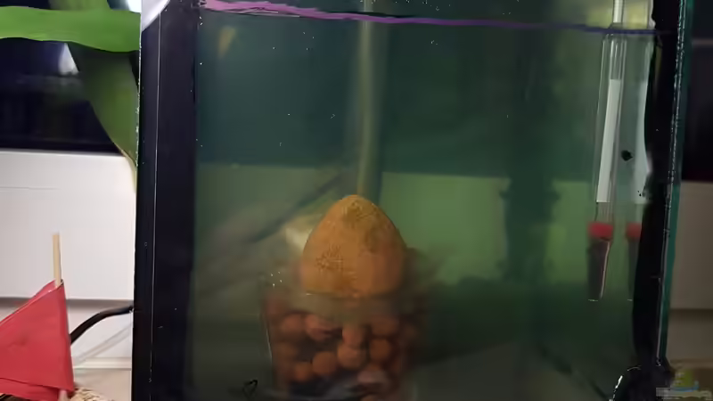 14.12.2018 von Kevin Engelsberger (10)