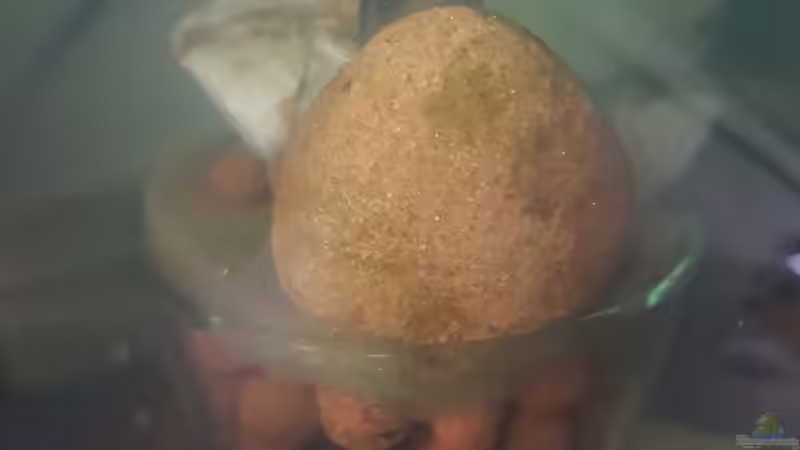 14.12.2018 von Kevin Engelsberger (11)