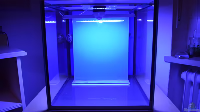 14.12.2019 von Junglist (2)