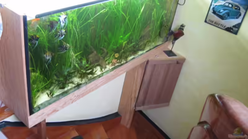 14.6.2009 von Andrea (9)