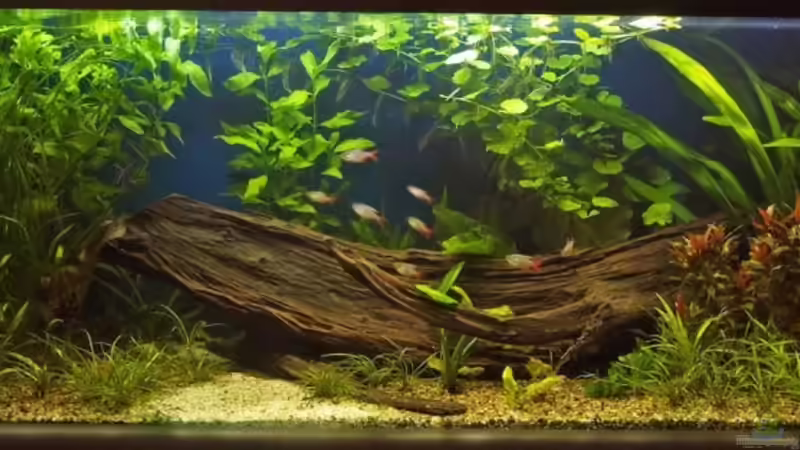 14.9.08 von smily (6)