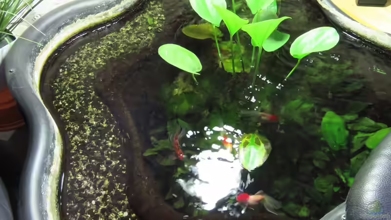 14.9.17 von Andrea (4)