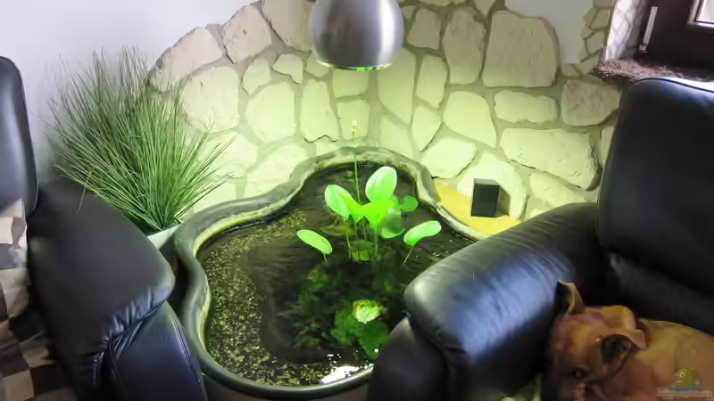 14.9.17 von Andrea (8)