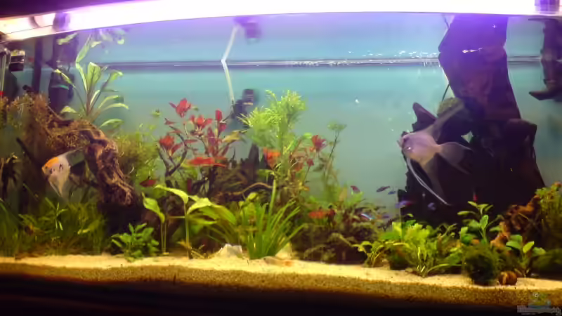 14 Tage nach der Einrichtung von Martin Kaindl (3)