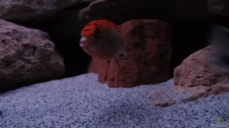 15.01.13 von aquamika (43)