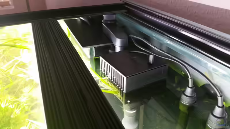 15.01.16 Aqua Medic Skimbox für Oberflächenfilterung von foxi (36)