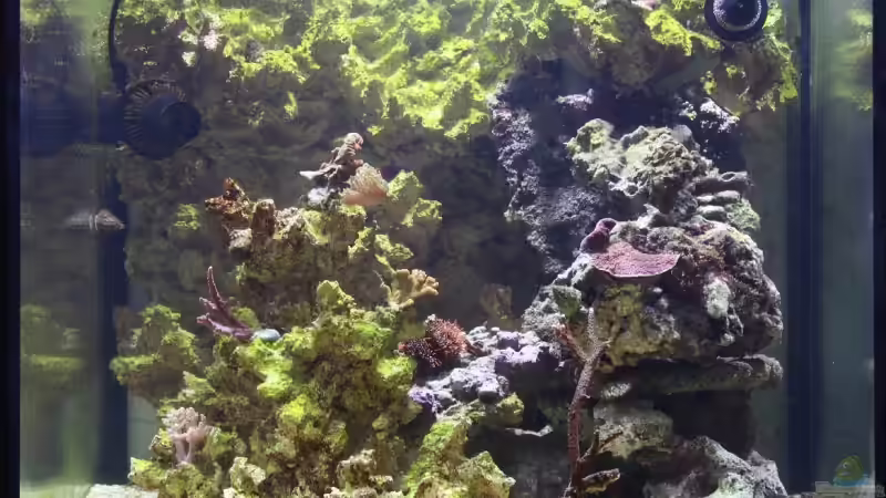 15.01.2009 von Stephan Ascher (11)