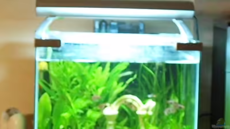 15.01.2010 von Marion1705 (2)