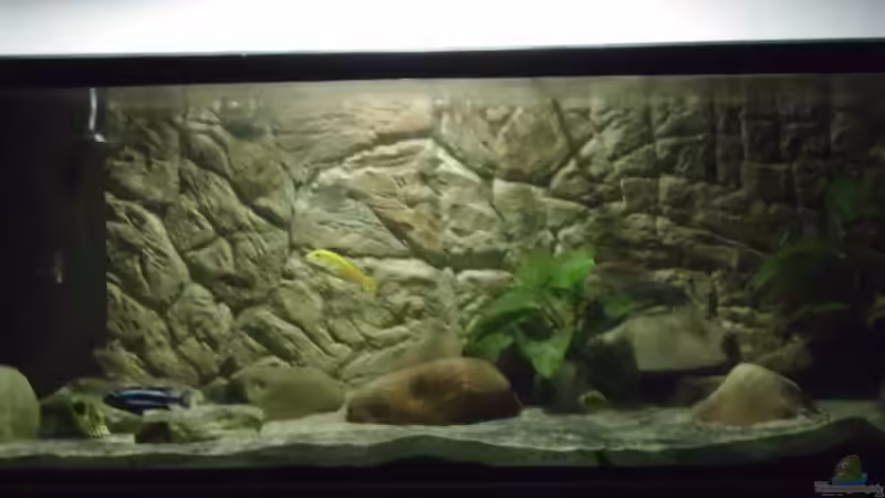 15.01.2013 von Noah (4)