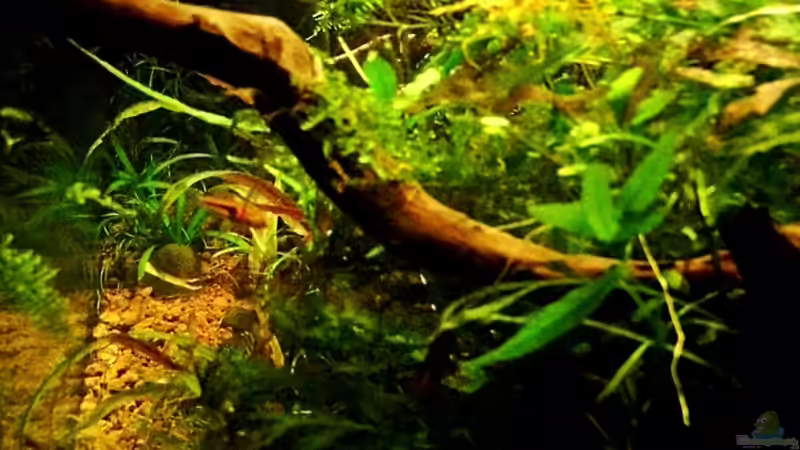 15.01.2014 von snooze (13)