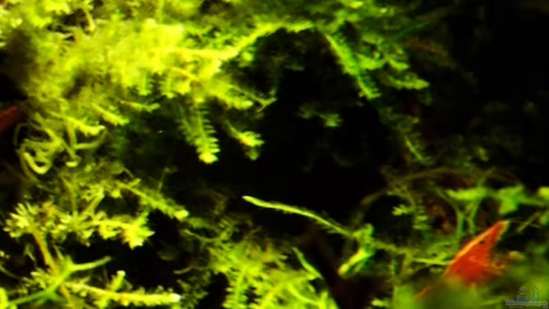 15.01.2014 von snooze (36)