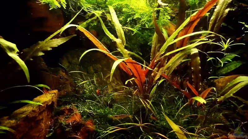 15.01.2014 von snooze (37)