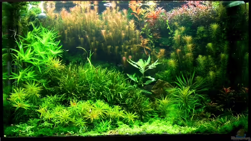 15.02.2011 von @mazonas (12)