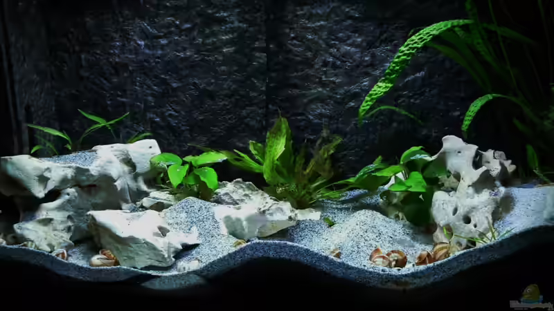 15.02.2013 Nach Umbau von DominikZ (1)