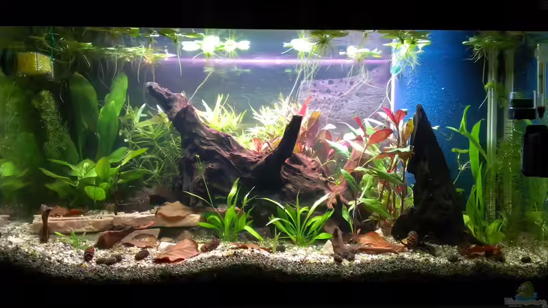 15.02.2013 von bocap (6)