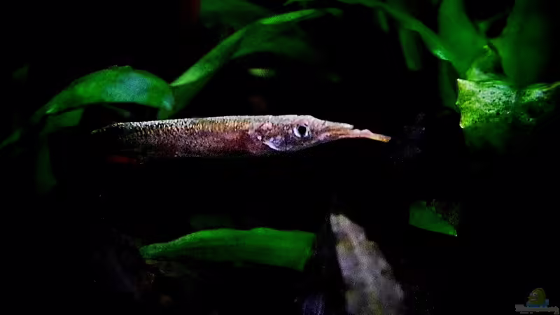 15.02.2014 von snooze (39)