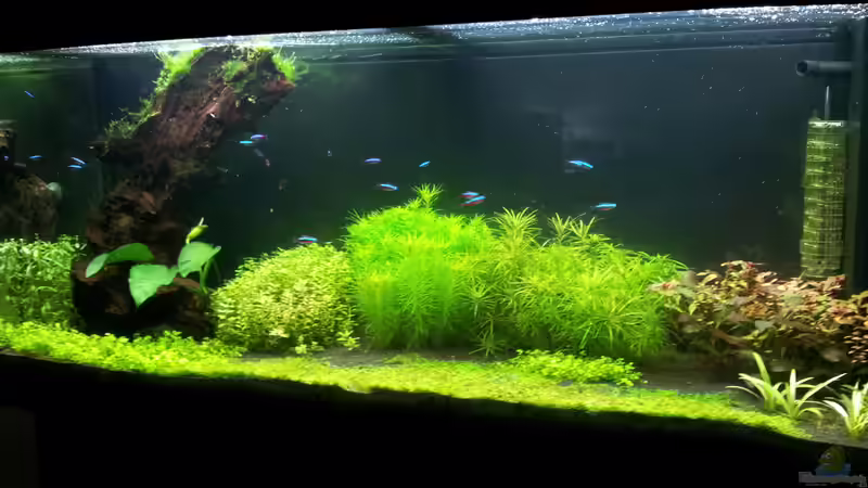 15.02.2014 von Terence Hill (9)