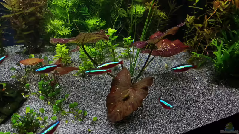 15.02.2015 von &lt;--- sebi ---&gt; (16)