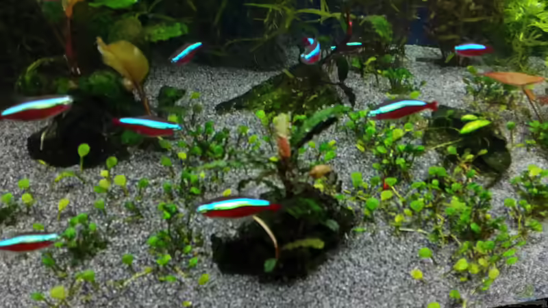 15.02.2015 von &lt;--- sebi ---&gt; (20)