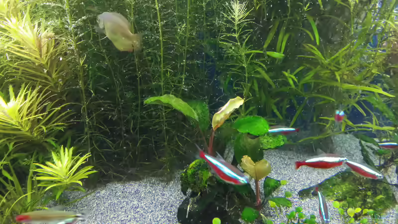 15.02.2015 von &lt;--- sebi ---&gt; (21)