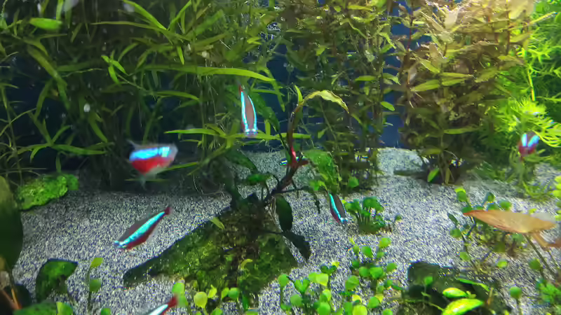 15.02.2015 von &lt;--- sebi ---&gt; (23)