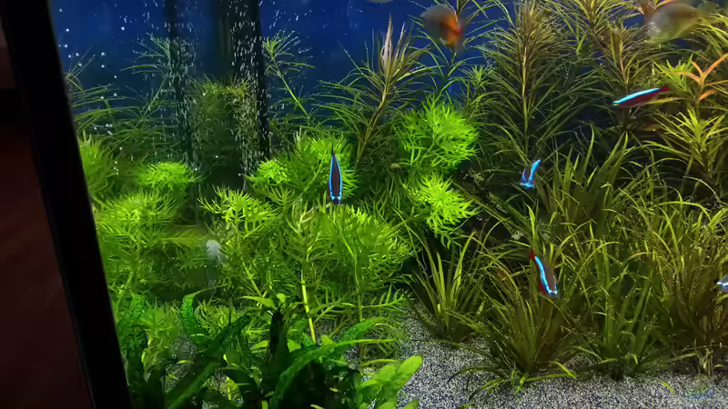 15.02.2015 von &lt;--- sebi ---&gt; (24)