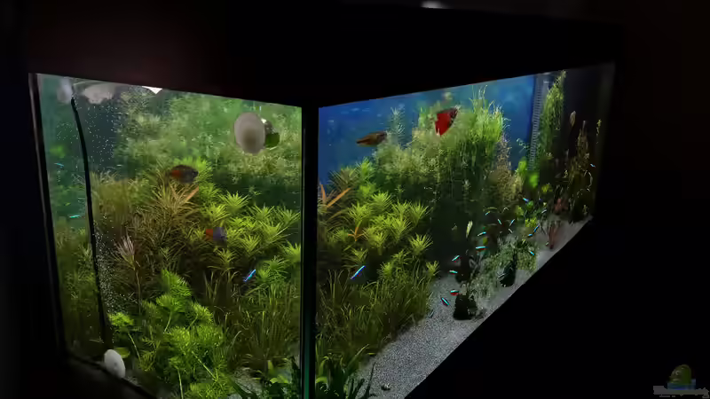 15.02.2015 von <--- sebi ---> (3)