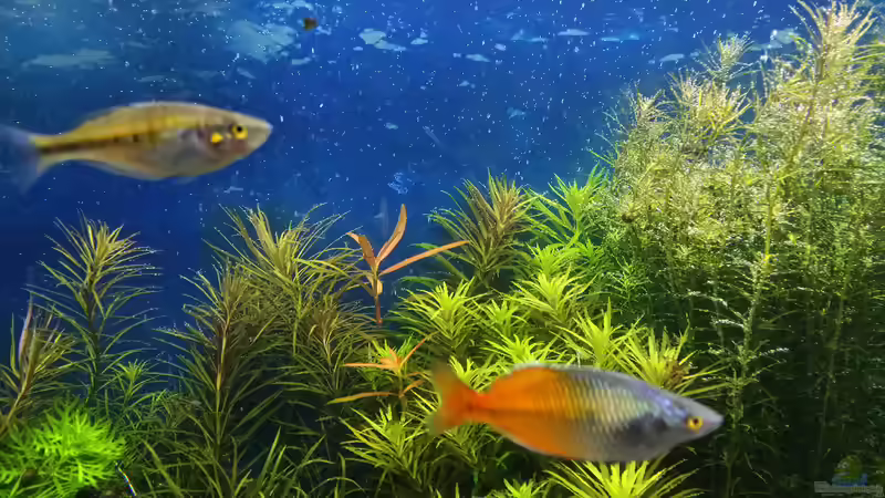 15.02.2015 von &lt;--- sebi ---&gt; (31)