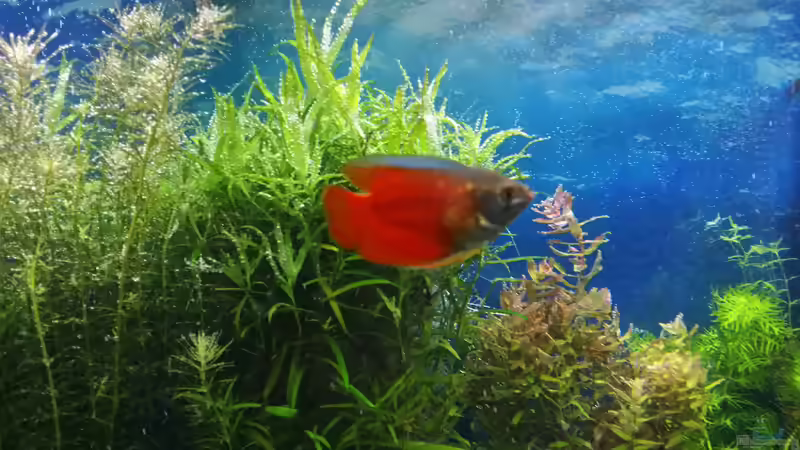 15.02.2015 von &lt;--- sebi ---&gt; (32)