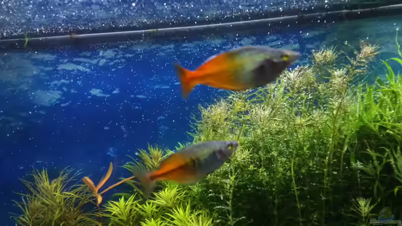 15.02.2015 von &lt;--- sebi ---&gt; (33)