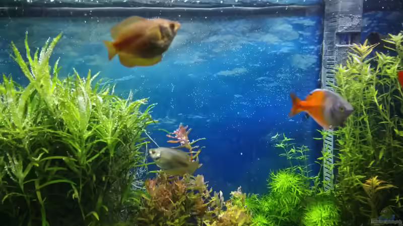 15.02.2015 von &lt;--- sebi ---&gt; (35)