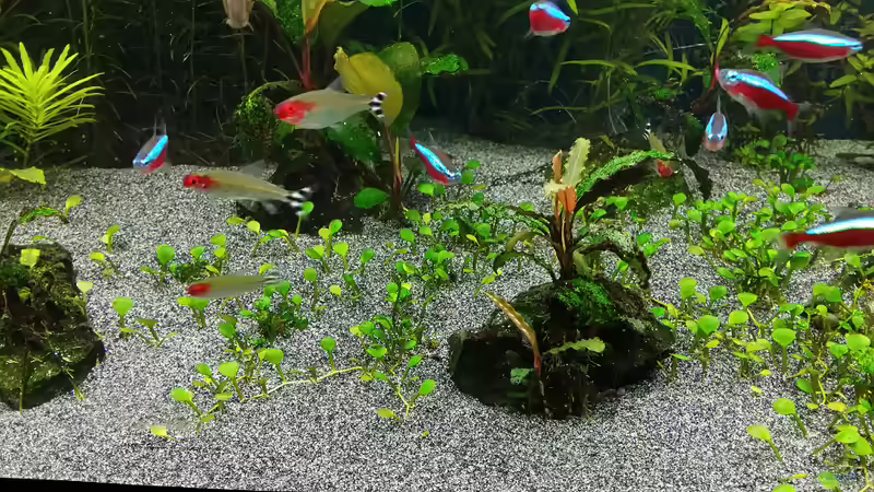 15.02.2015 von &lt;--- sebi ---&gt; (36)