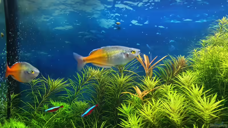 15.02.2015 von &lt;--- sebi ---&gt; (38)