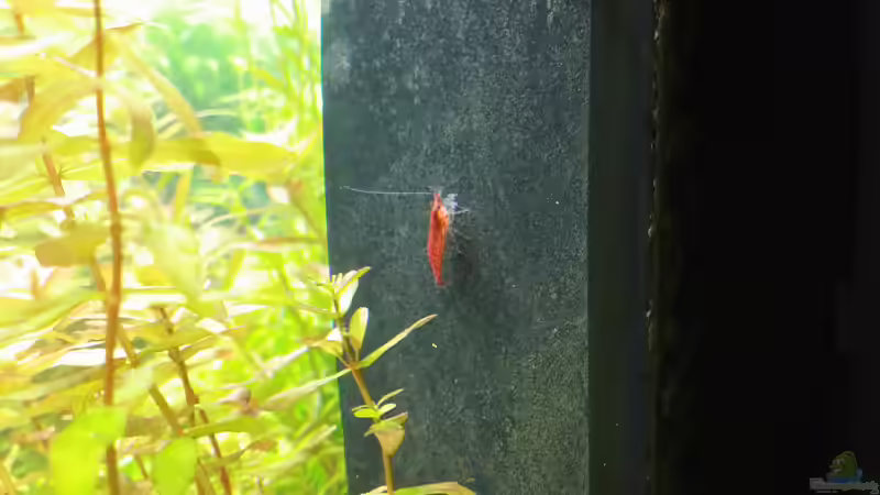 15.02.2015 von &lt;--- sebi ---&gt; (39)