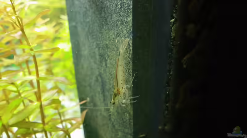 15.02.2015 von &lt;--- sebi ---&gt; (40)