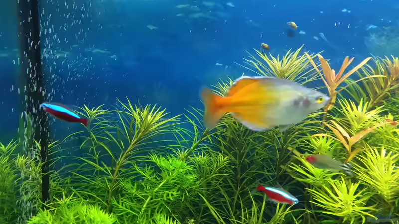 15.02.2015 von &lt;--- sebi ---&gt; (41)