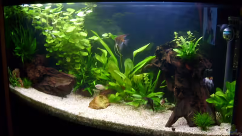 15.03.09 von onil (2)