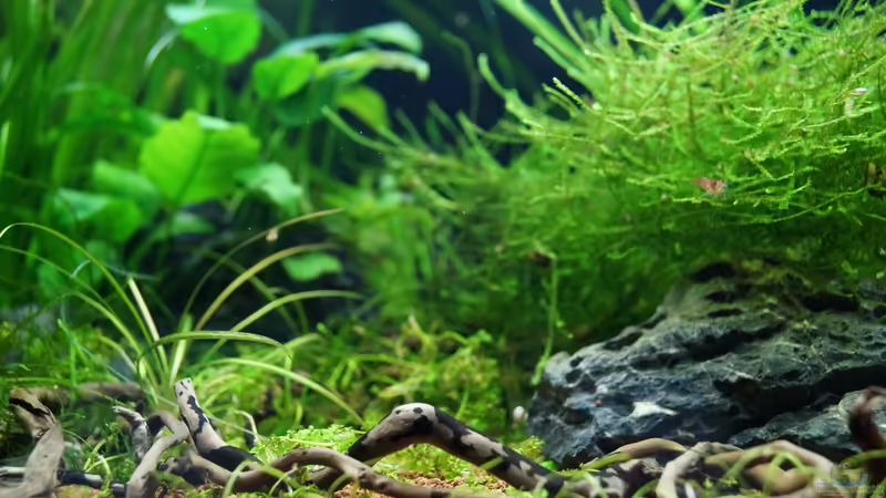 15.03.15 von Guido Seifert (5)