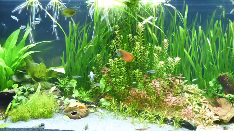 15.03.18 von Stephy (5)