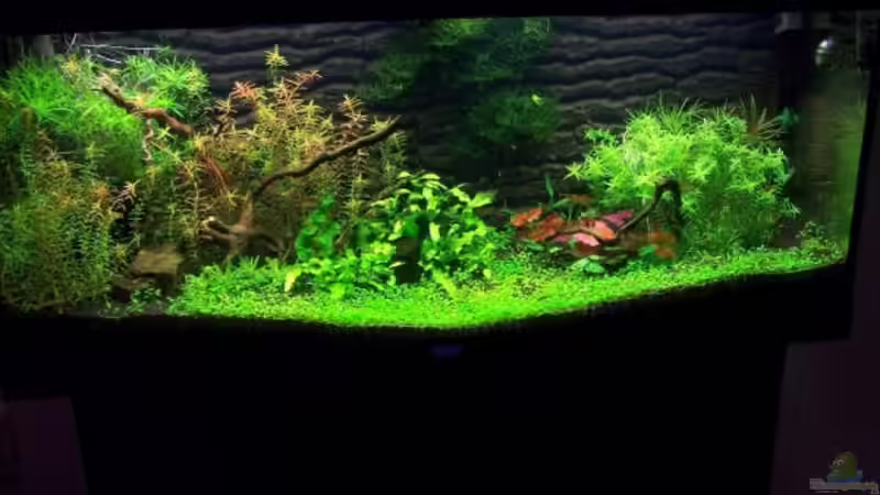 15.03.2009 von Dani B (11)