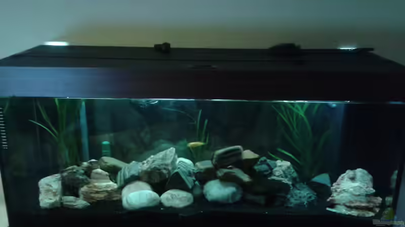 15.03.2013 2 von Michi1987 (4)