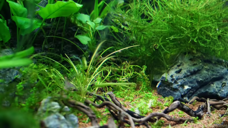 15.03.2015 von Guido Seifert (2)