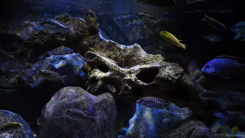 15.03.2015 von Steffen G (5)