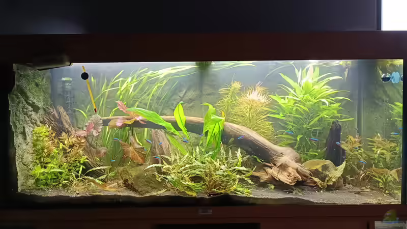 15.03.2022 Mal stark gegärtnert. von stephan-k (3)