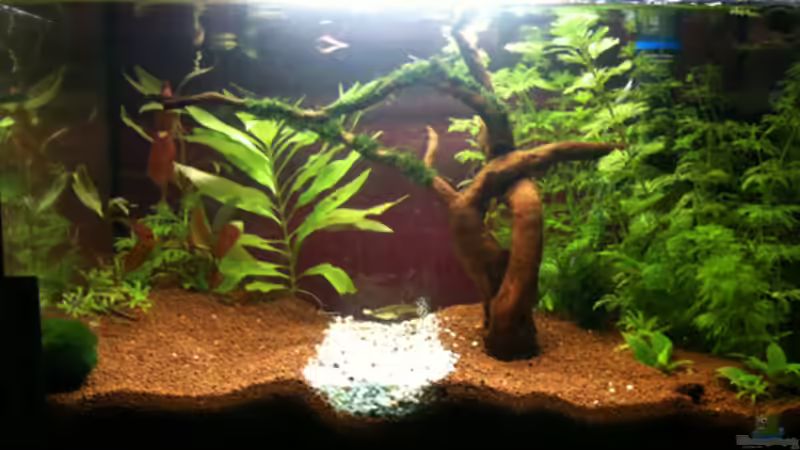 15-04-10 von Flevus (6)