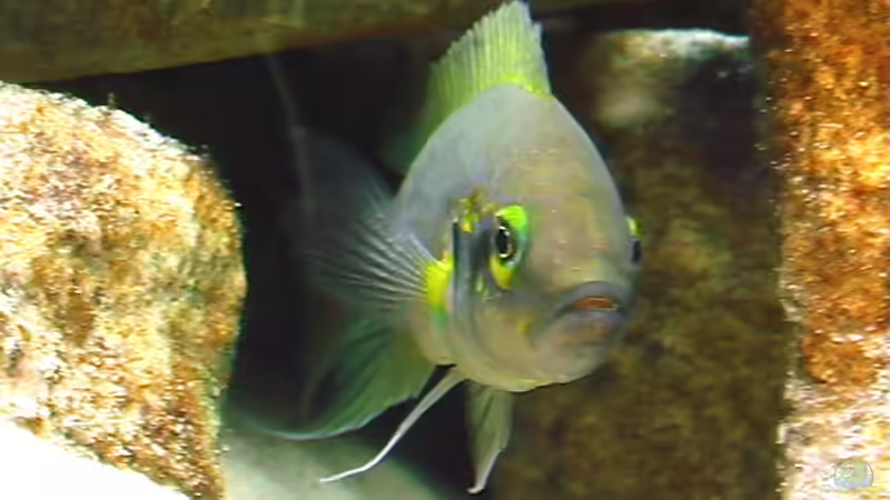 15.04.2010 von Olli N. (12)