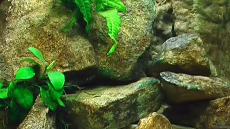 15.04.2010 von Olli N. (3)