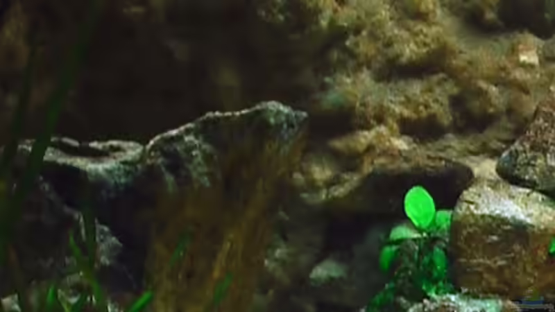 15.04.2010 von Olli N. (5)